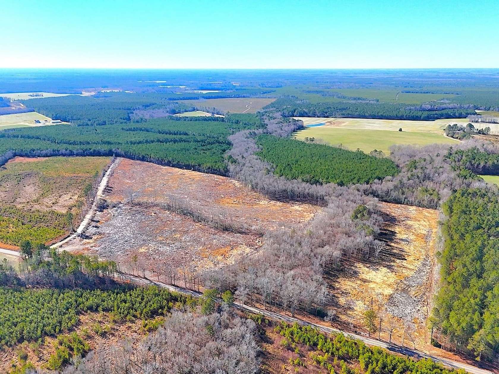 31.5 Acres of Recreational Land for Sale in Waverly, Virginia