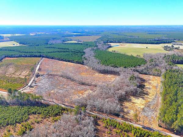 31.5 Acres of Recreational Land for Sale in Waverly, Virginia