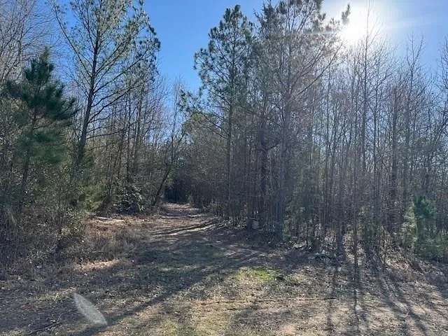 8.47 Acres of Land for Sale in Naples, Texas