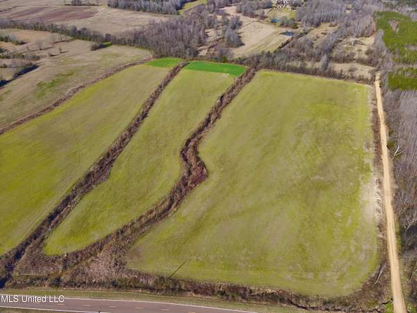 40 Acres of Land for Sale in Lexington, Mississippi