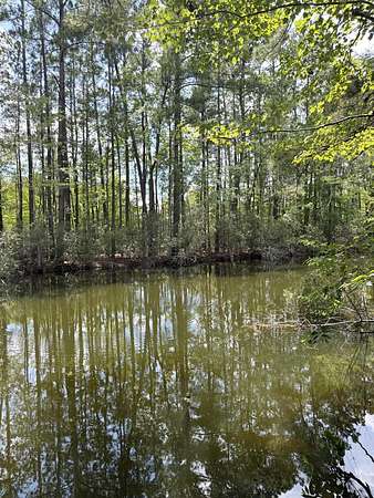 0.68 Acres of Land for Sale in Eutawville, South Carolina