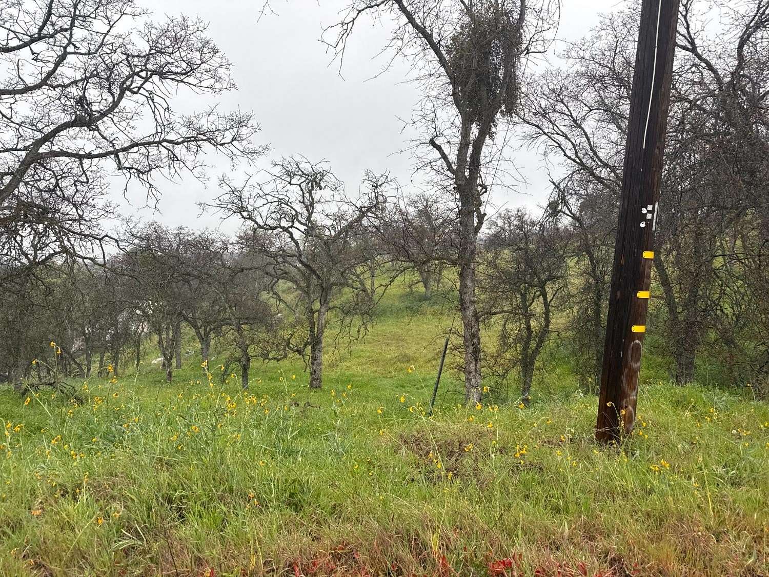 4.7 Acres of Residential Land for Sale in Squaw Valley, California