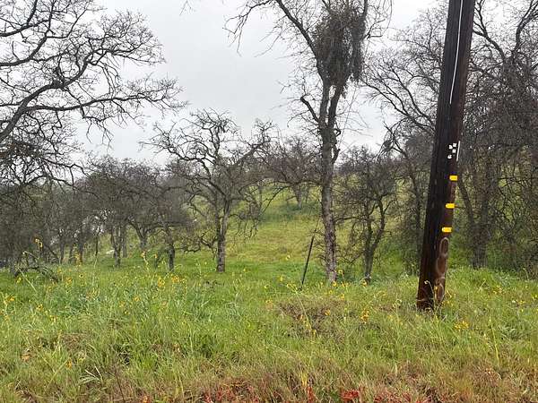 4.7 Acres of Residential Land for Sale in Squaw Valley, California