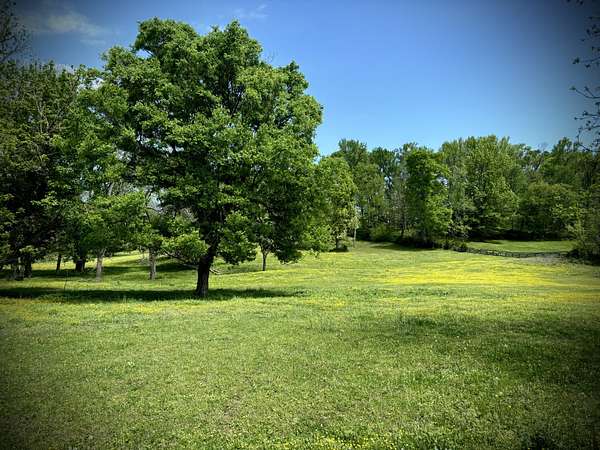 15.7 Acres of Land for Sale in Thompson's Station, Tennessee