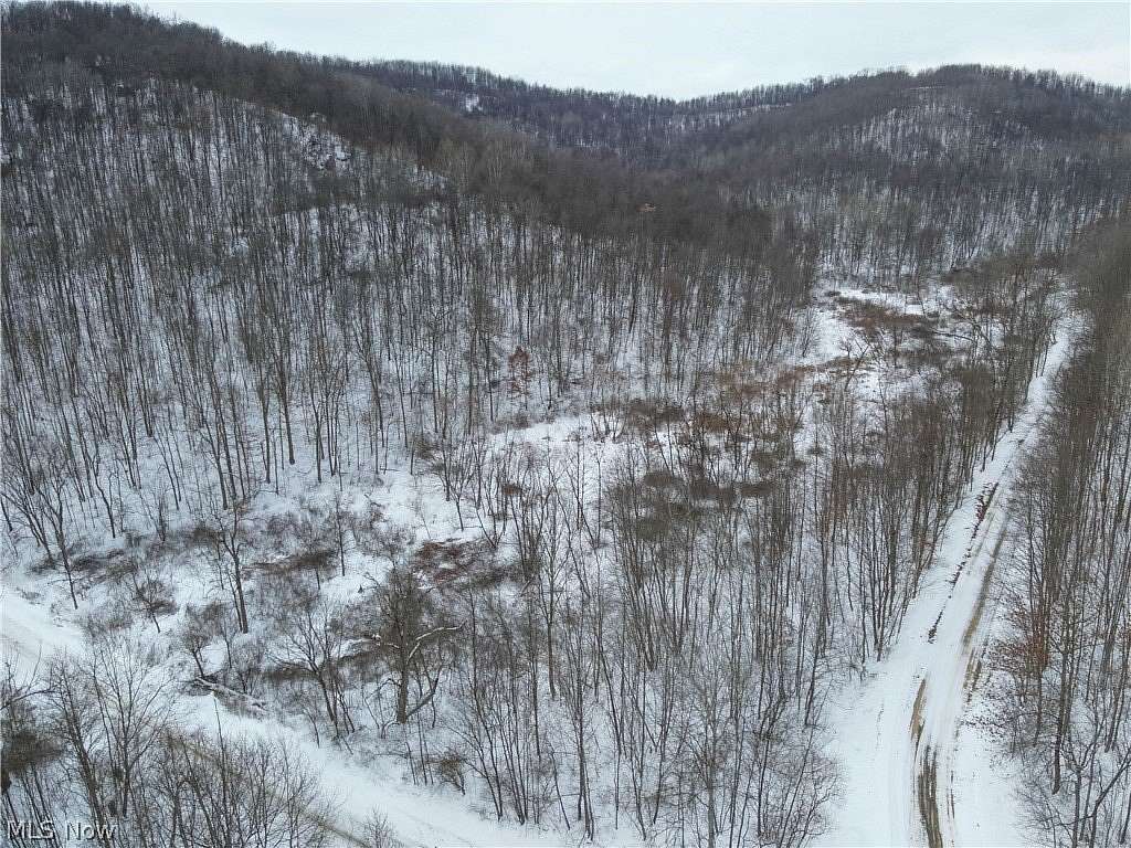 46.8 Acres of Land for Sale in Kimbolton, Ohio