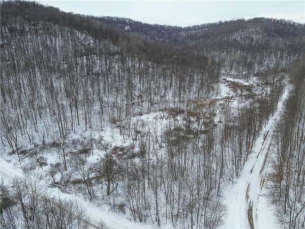 46.8 Acres of Land for Sale in Kimbolton, Ohio