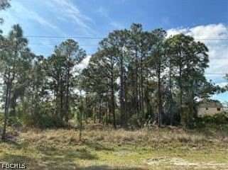 0.29 Acres of Land for Sale in Lehigh Acres, Florida