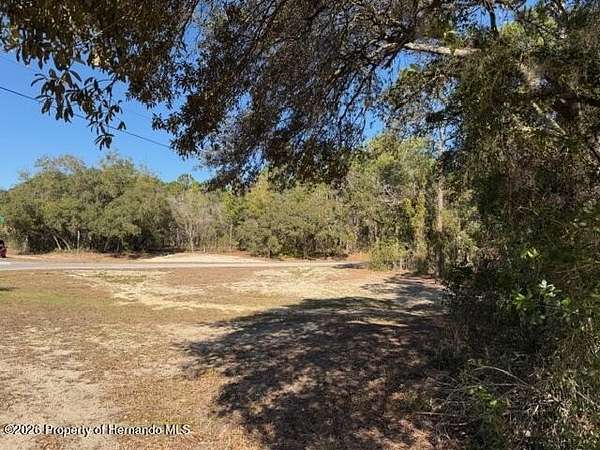 1 Acre of Residential Land for Sale in Hernando, Florida