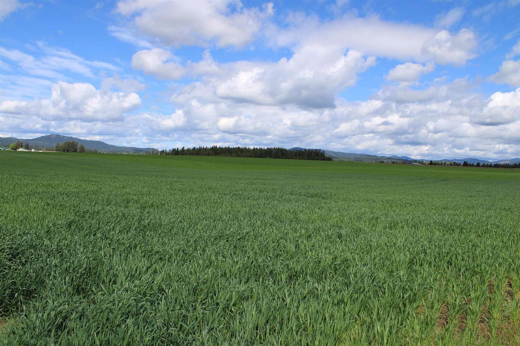 9.78 Acres of Residential Land for Sale in Deer Park, Washington
