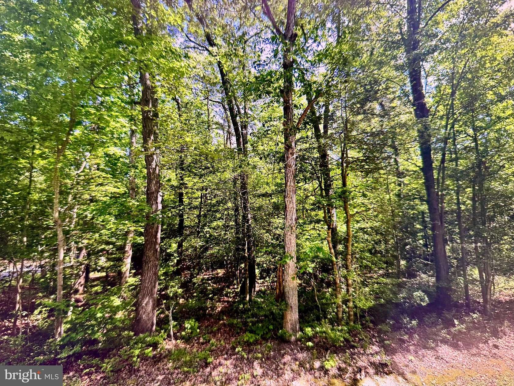 0.66 Acres of Residential Land for Sale in Millsboro, Delaware