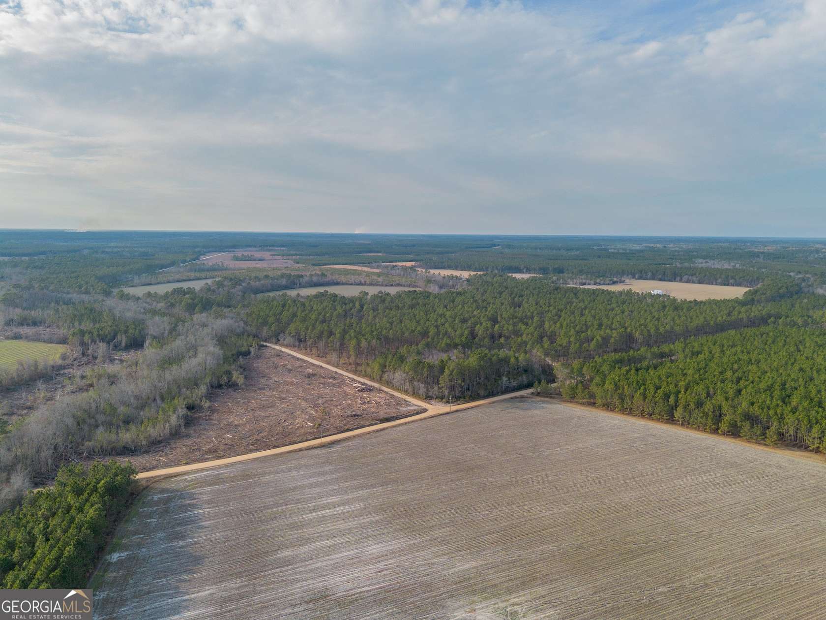 230 Acres of Land for Sale in Odum, Georgia