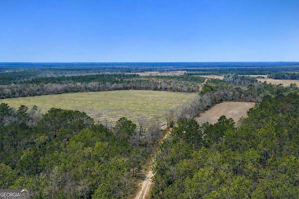 230 Acres of Land for Sale in Odum, Georgia