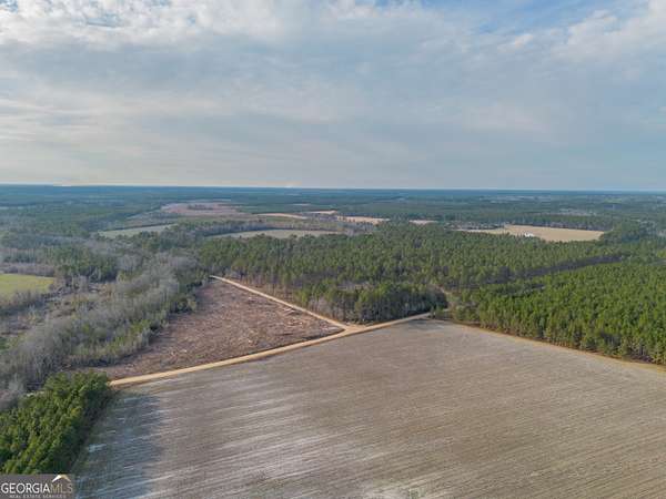 230 Acres of Land for Sale in Odum, Georgia