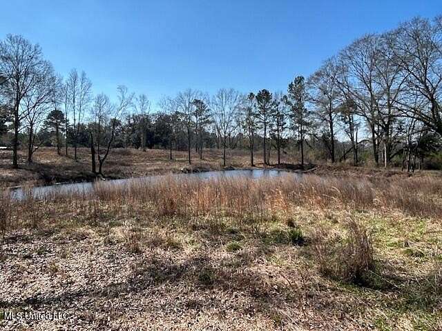 91 Acres of Recreational Land for Sale in Sandy Hook, Mississippi
