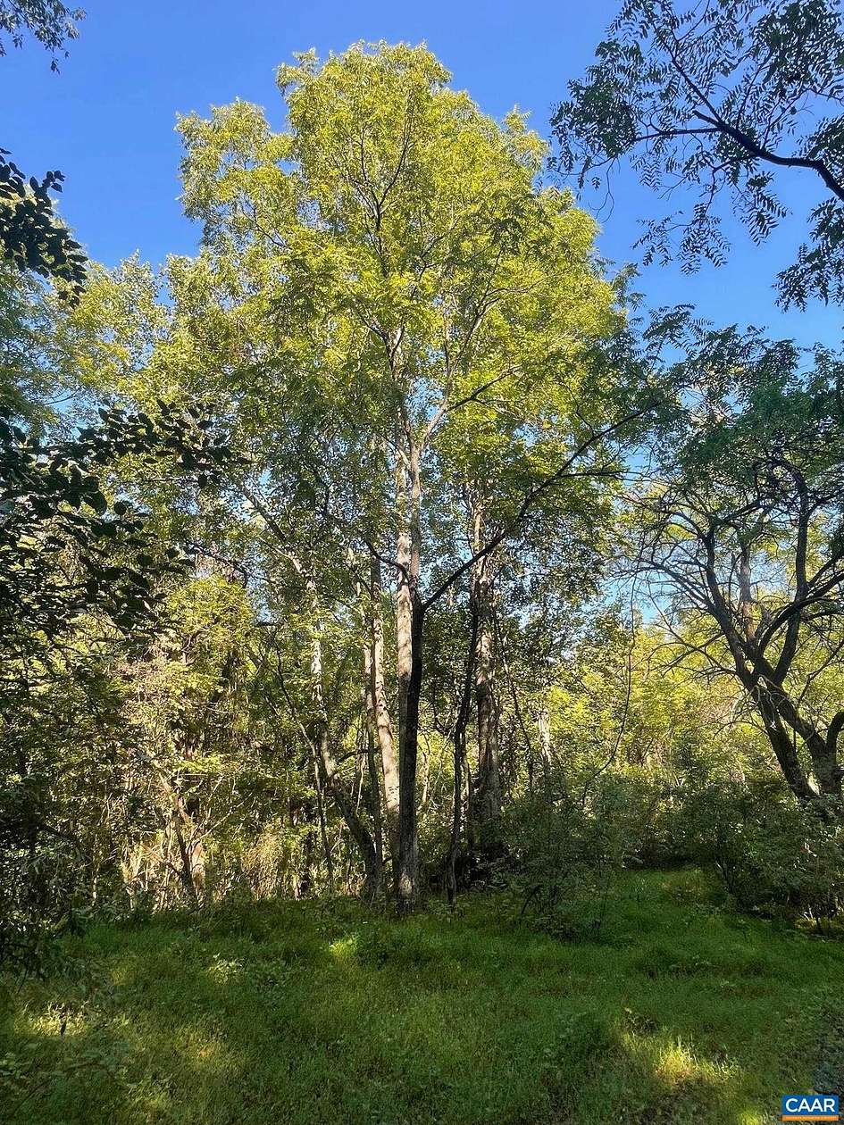 56.5 Acres of Recreational & Residential Land for Sale in Keswick, Virginia