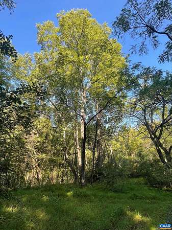 56.5 Acres of Recreational & Residential Land for Sale in Keswick, Virginia
