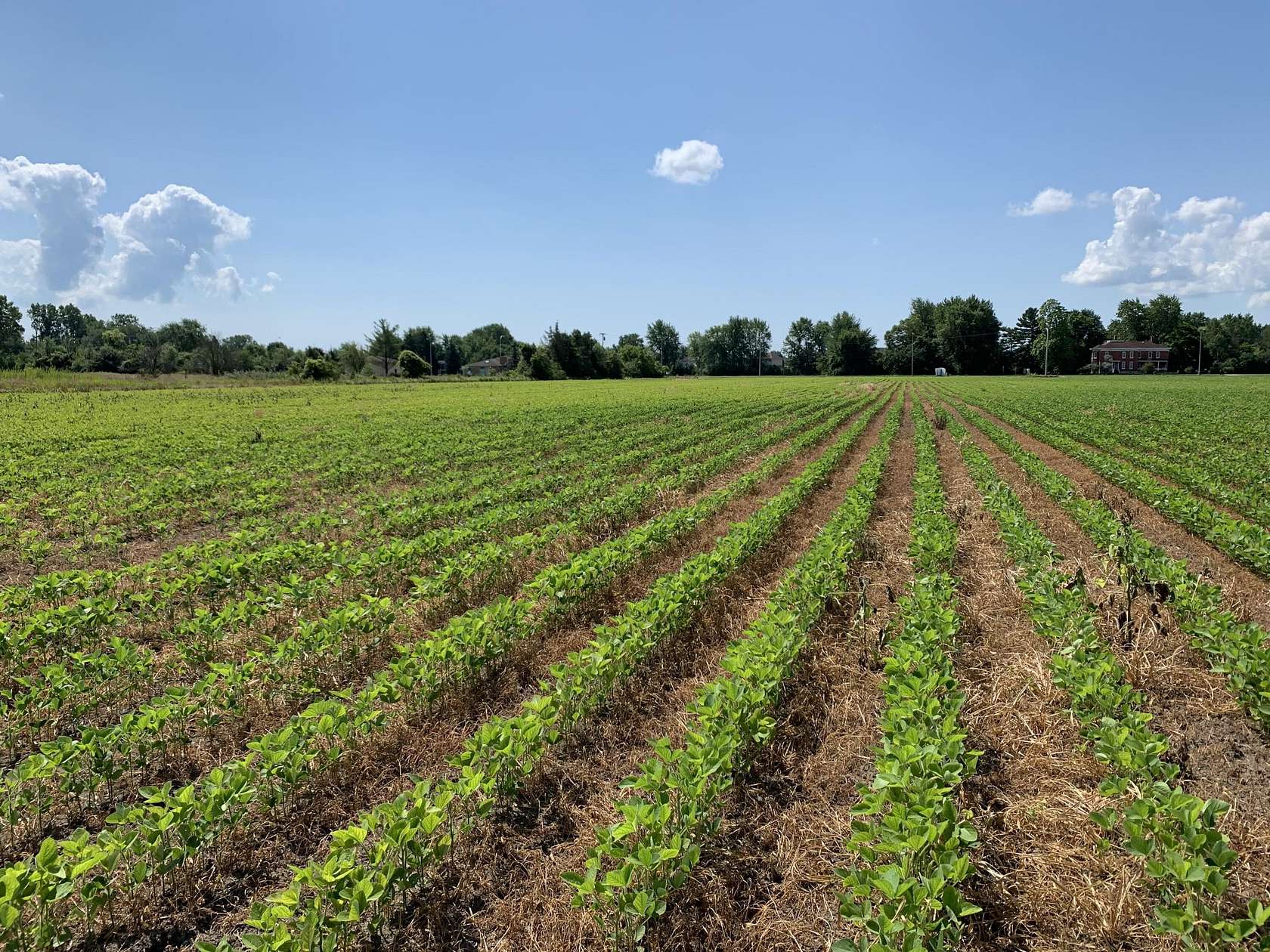 20 Acres of Mixed-Use Land for Sale in Flat Rock, Michigan