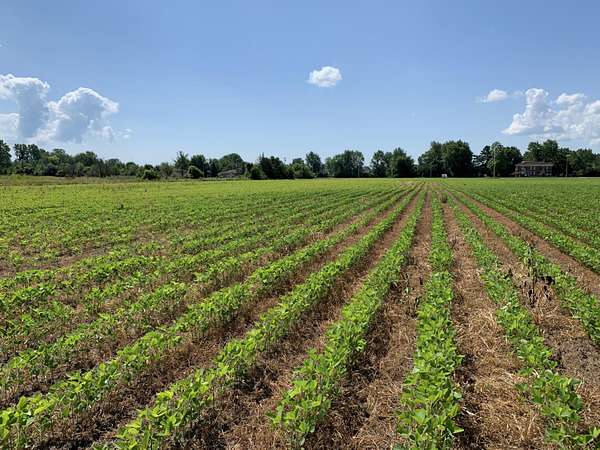 20 Acres of Mixed-Use Land for Sale in Flat Rock, Michigan