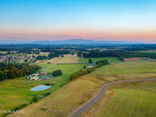 1 Acre of Residential Land for Sale in White Pine, Tennessee