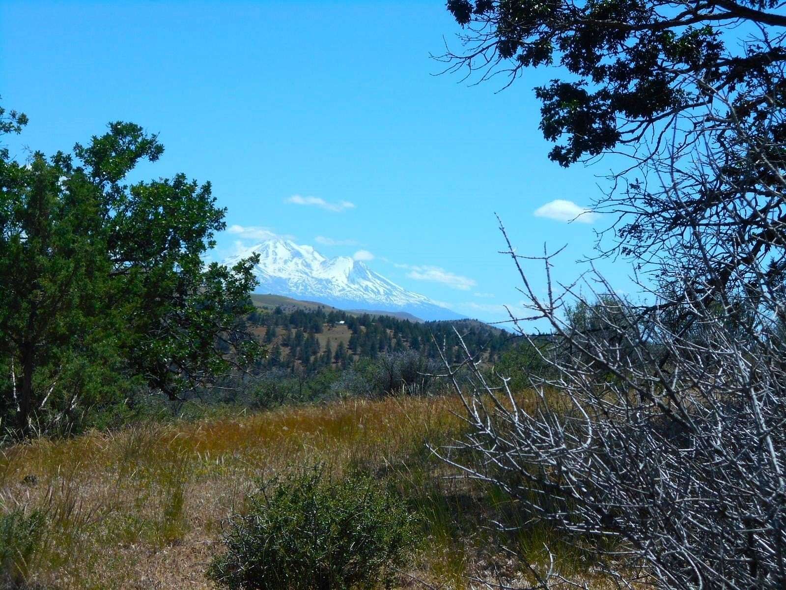 2.5 Acres of Residential Land for Sale in Montague, California