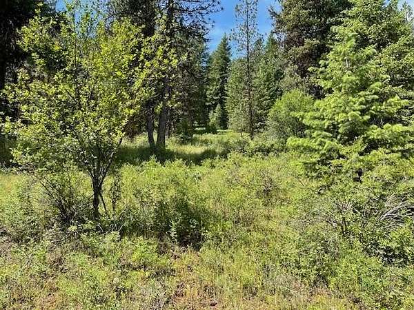 5 Acres of Land for Sale in New Meadows, Idaho