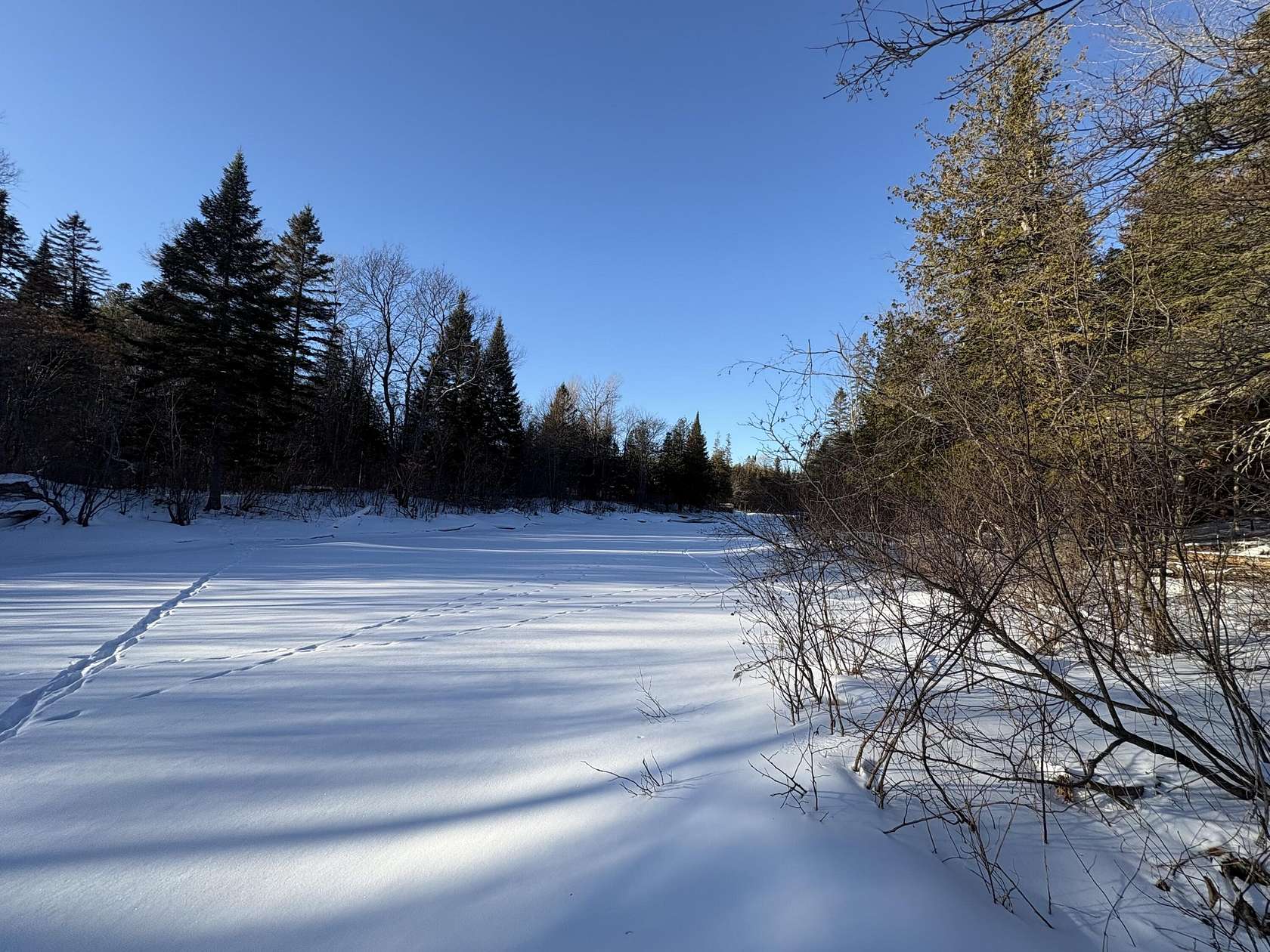 9 Acres of Land for Sale in Oakfield, Maine