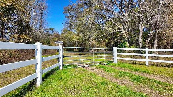 44.6 Acres of Land for Sale in Pelham, Georgia