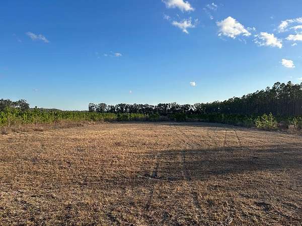 4.87 Acres of Residential Land for Sale in Bell, Florida