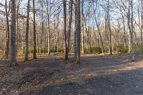 296 Acres of Recreational Land for Sale in Mooresburg, Tennessee
