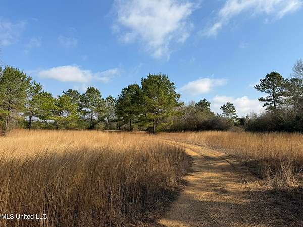 37 Acres of Land for Sale in Sandy Hook, Mississippi