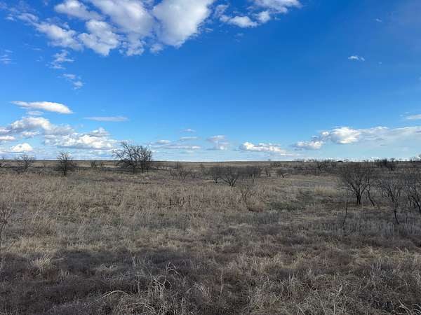 20 Acres of Land for Sale in Comanche, Texas