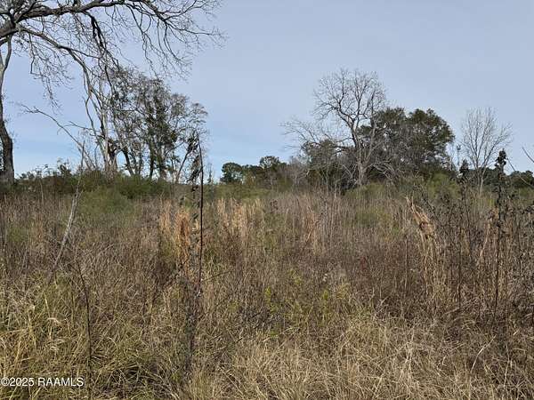 4.63 Acres of Residential Land for Sale in Lafayette, Louisiana