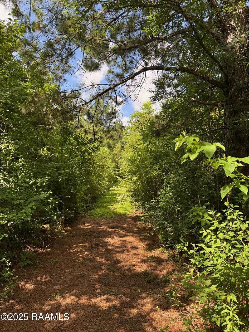 3 Acres of Residential Land for Sale in Arnaudville, Louisiana