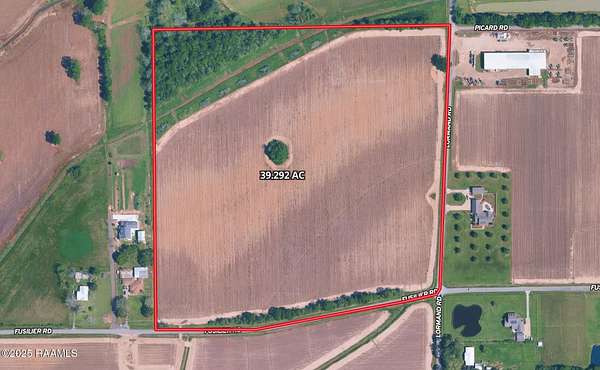 39.3 Acres of Agricultural Land for Sale in Maurice, Louisiana