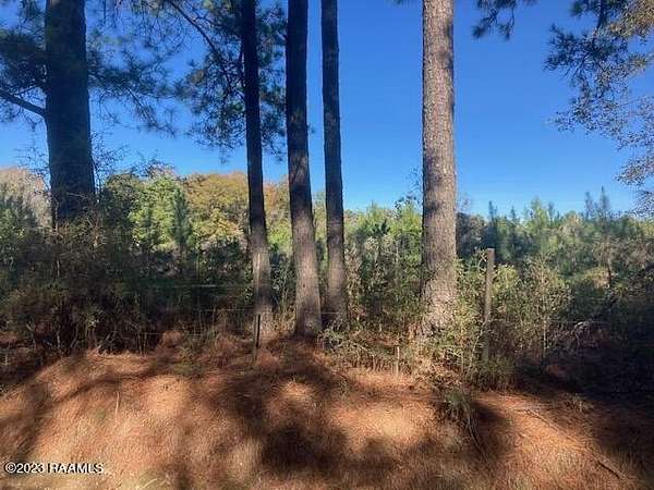 20.1 Acres of Land for Sale in Eunice, Louisiana