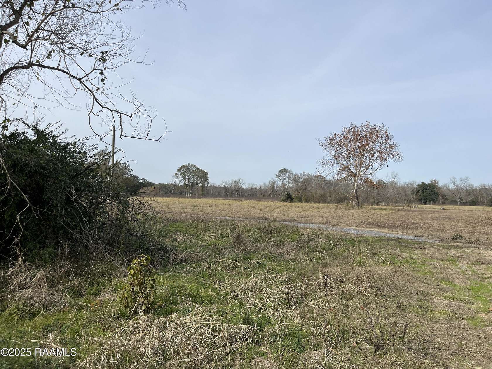 55 Acres of Recreational Land for Sale in Lafayette, Louisiana