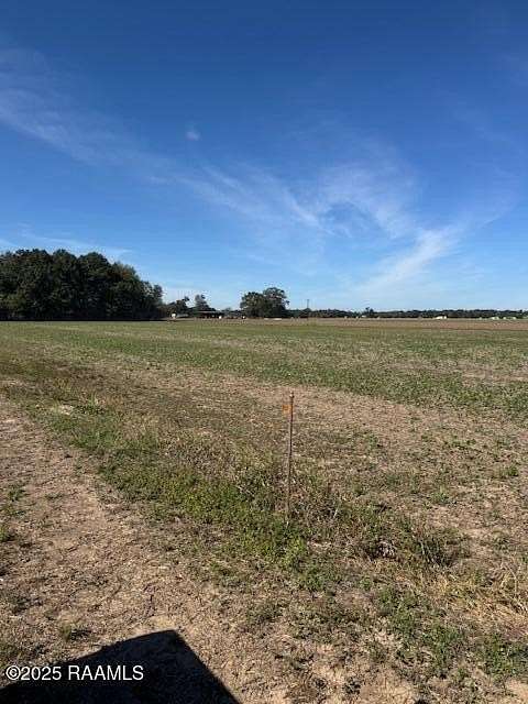 1 Acre of Residential Land for Sale in Arnaudville, Louisiana