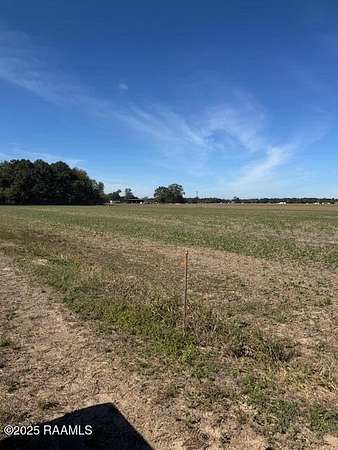 1 Acre of Residential Land for Sale in Arnaudville, Louisiana