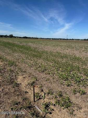 2.36 Acres of Residential Land for Sale in Arnaudville, Louisiana