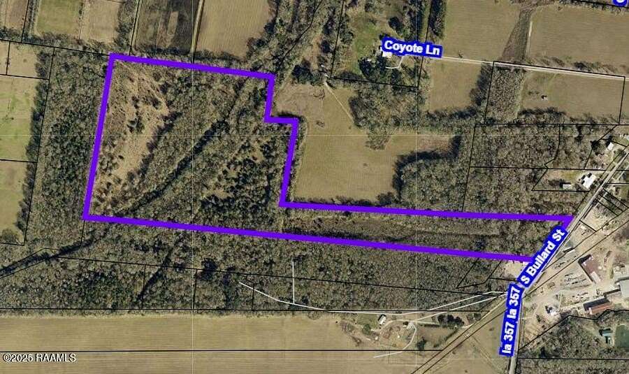 53.6 Acres of Recreational Land for Sale in Opelousas, Louisiana