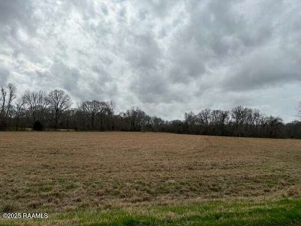 36.5 Acres of Recreational & Residential Land for Sale in Washington, Louisiana