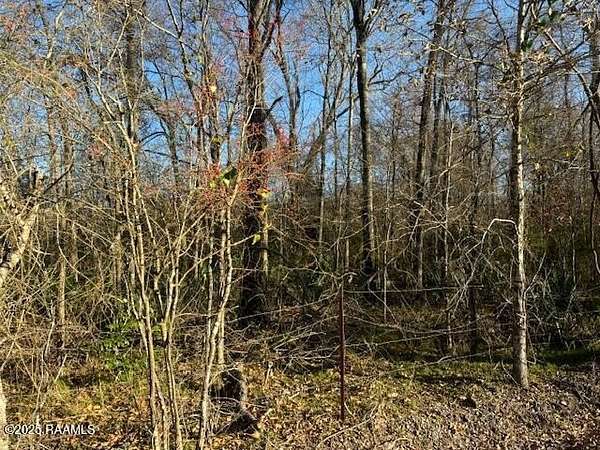 14 Acres of Land for Sale in Washington, Louisiana