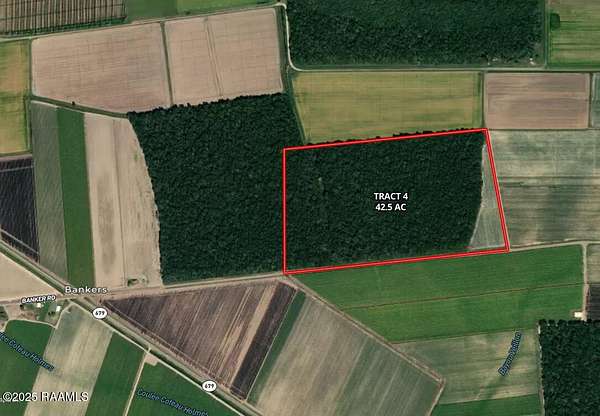 42.5 Acres of Recreational Land for Sale in St. Martinville, Louisiana