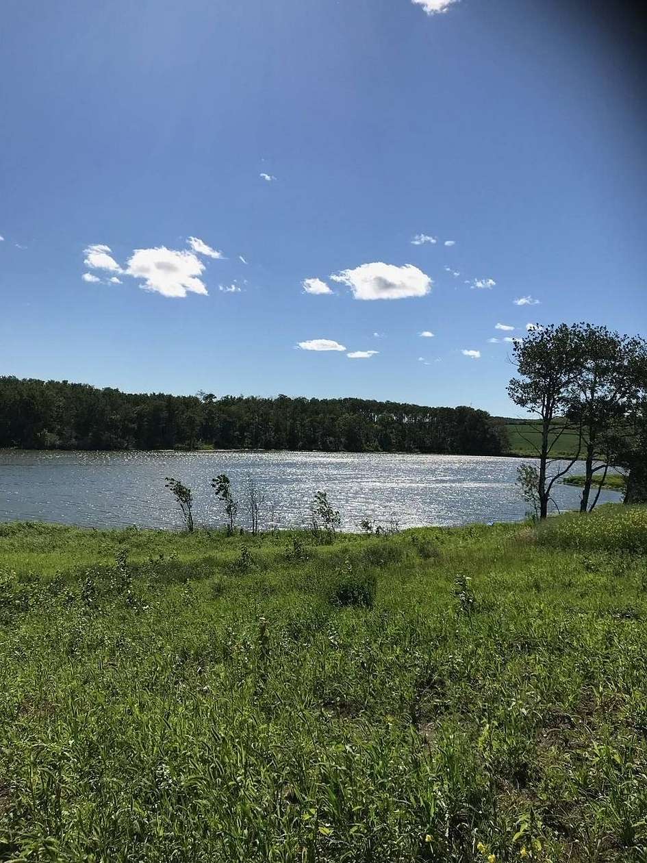 120 Acres of Land for Sale in Bottineau, North Dakota