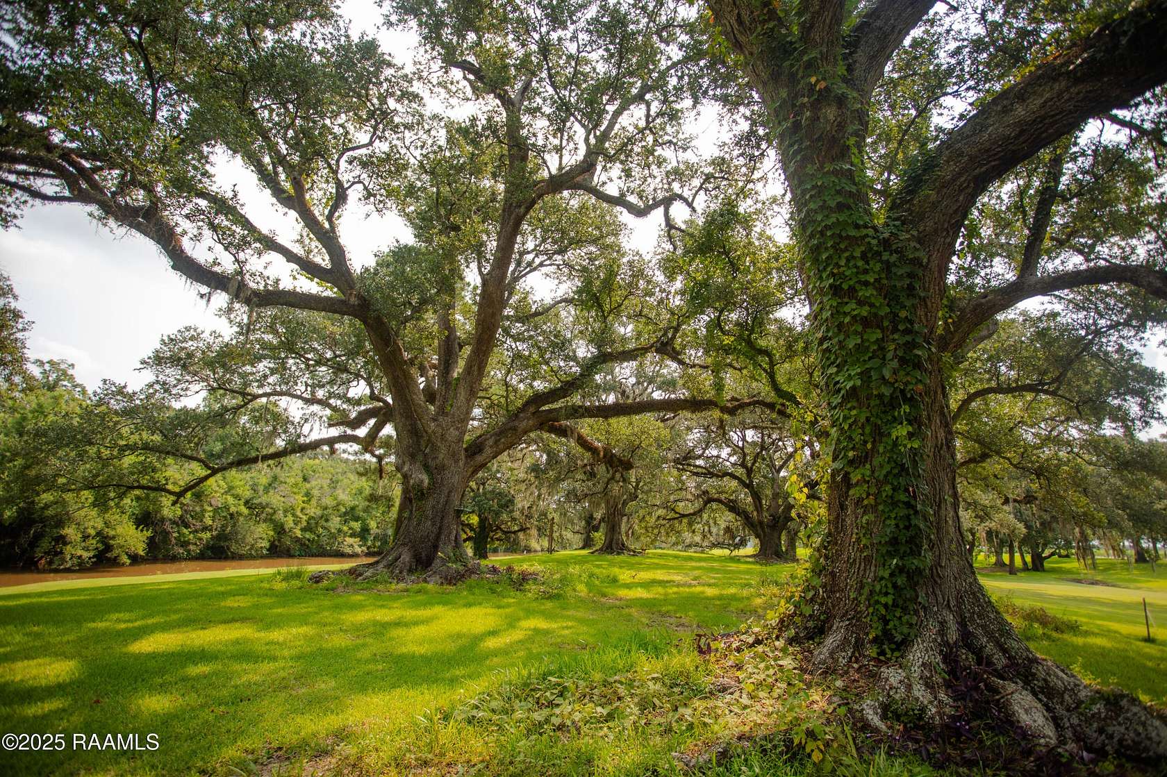 2.5 Acres of Land with Home for Sale in Breaux Bridge, Louisiana