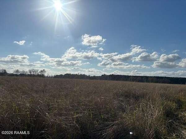 11 Acres of Mixed-Use Land for Sale in Eunice, Louisiana