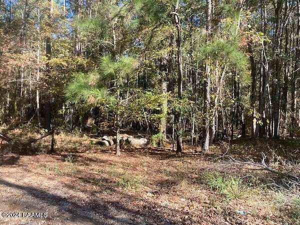 36 Acres of Recreational & Residential Land for Sale in Eunice, Louisiana