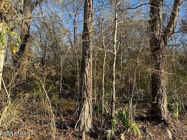 27.8 Acres of Recreational & Residential Land for Sale in Washington, Louisiana