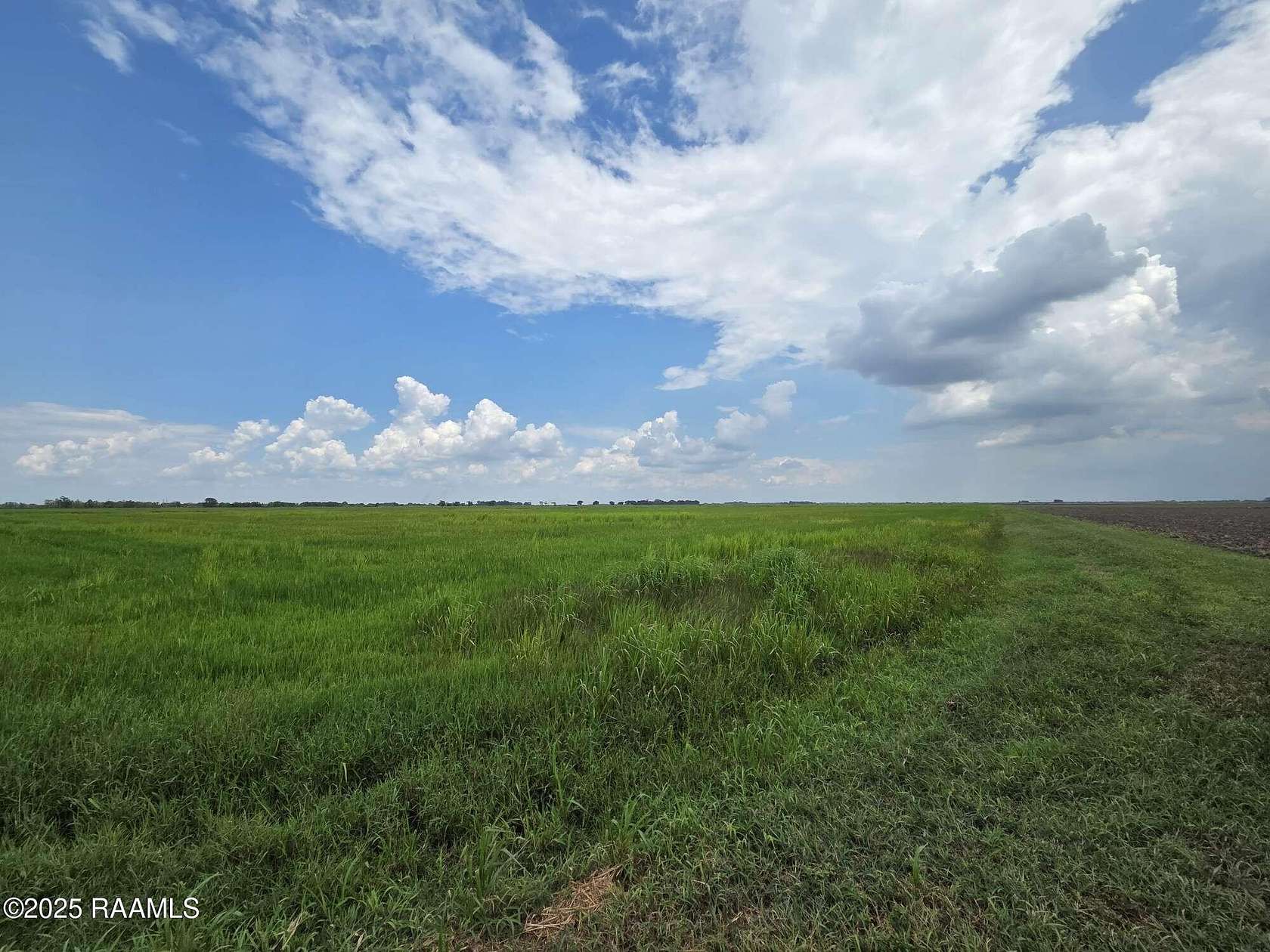 239 Acres of Recreational Land for Sale in Kaplan, Louisiana