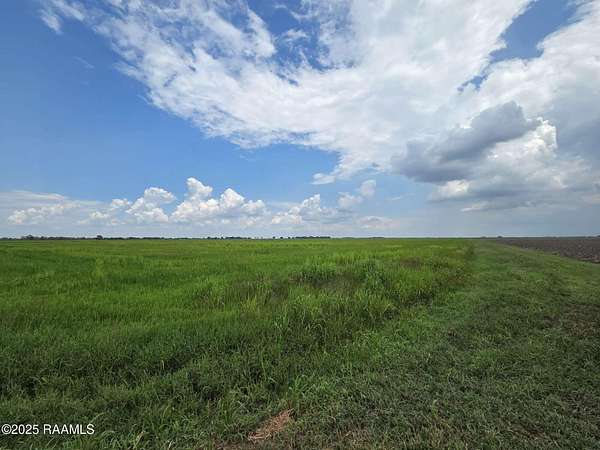 239 Acres of Recreational Land for Sale in Kaplan, Louisiana